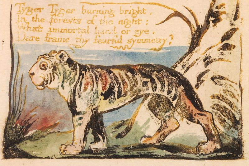 The Tiger – William Blake (Referenced by American Writers)
