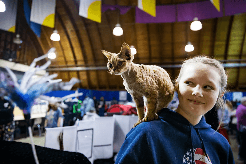Cat People Are Super Passionate (and Friendly!)