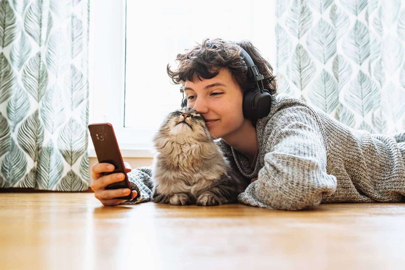 The Social Sharer