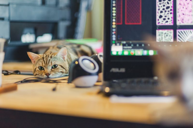 The Desk Explorer