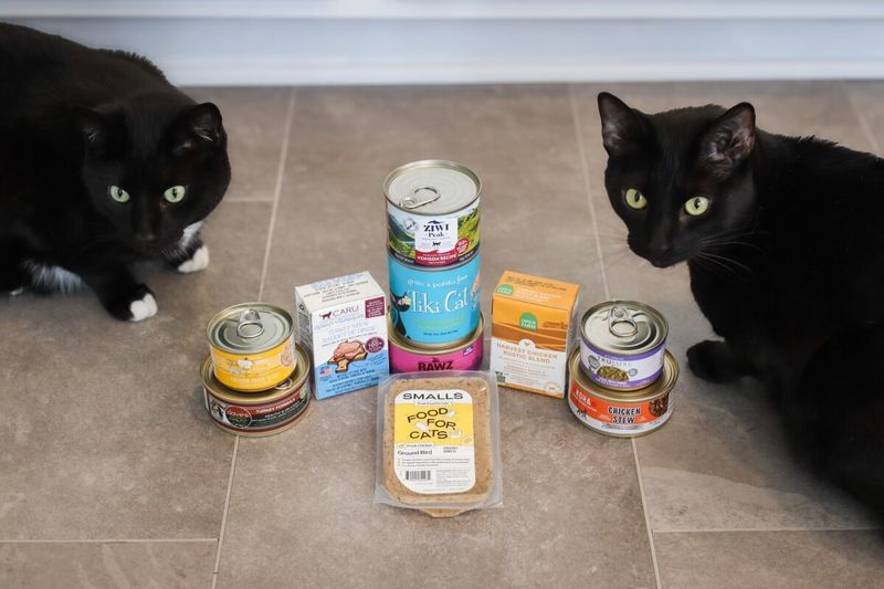 The Food Switcheroo