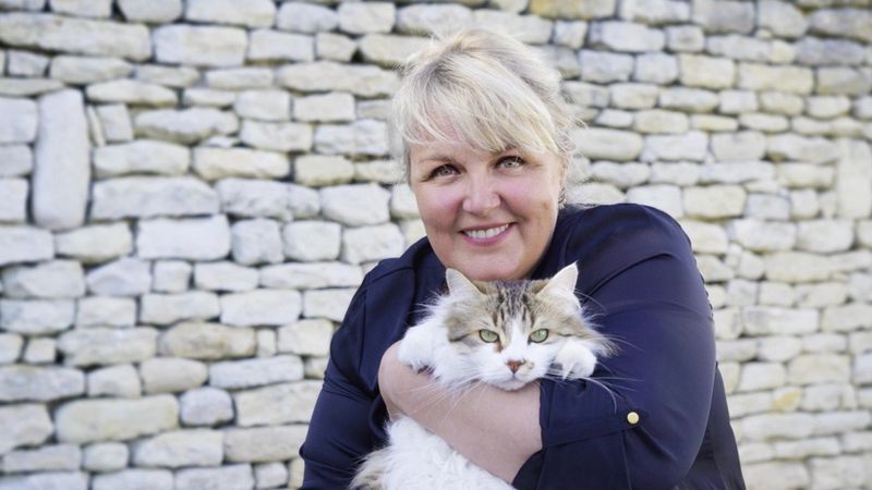 The Secret Life of Cats (2014)