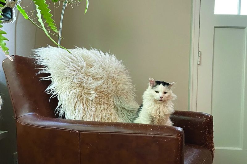 The Judging You From Afar Stare
