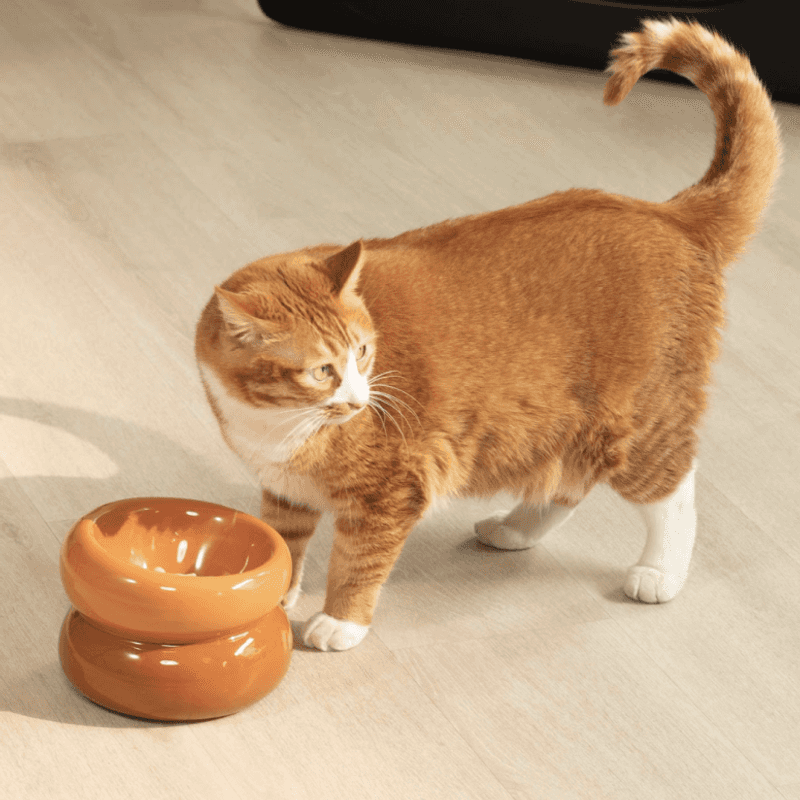 The Food Bowl Rattle
