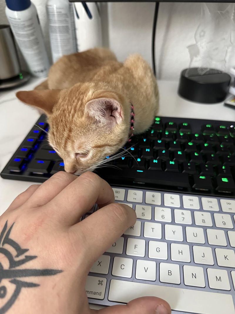 The Keyboard Invasion