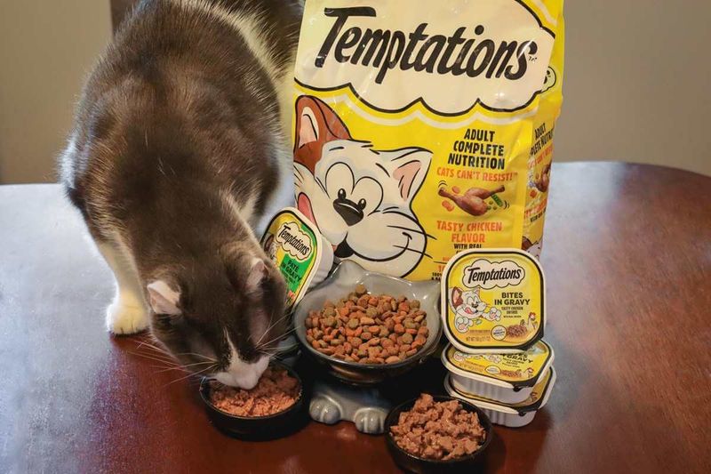 Temptations Cat Treats