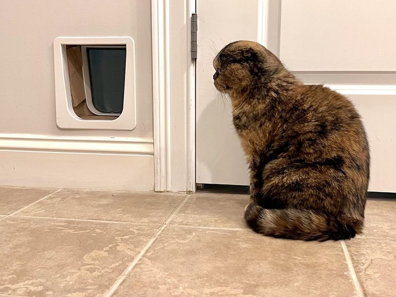 The Door Game