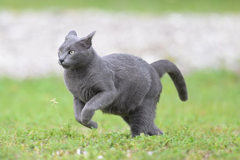 The Sudden Sprint Drill