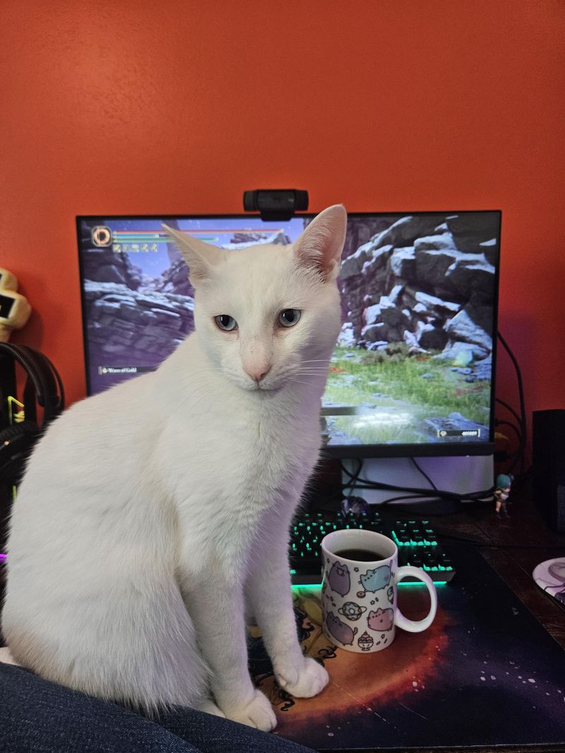 The Screen Blocker