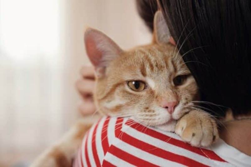 The Sudden Cuddle Attack