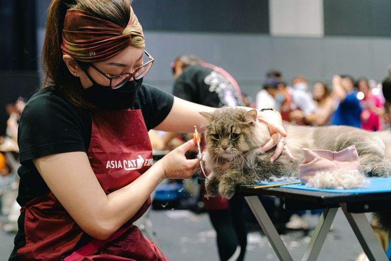 Grooming Is a Serious Art Form