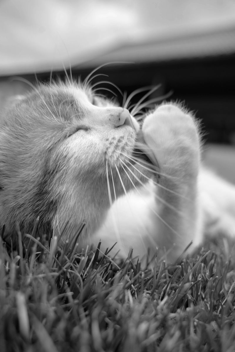 They Teach You Responsibility with Compassion