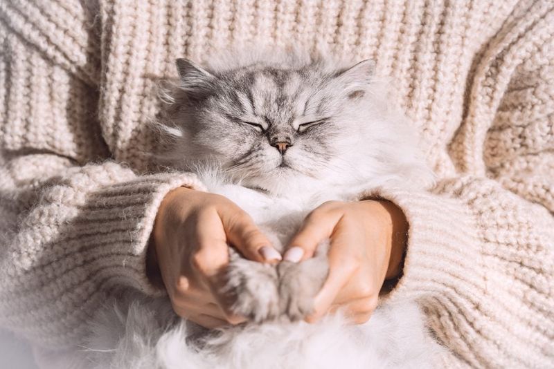 They Help Soothe Anxiety and Depression