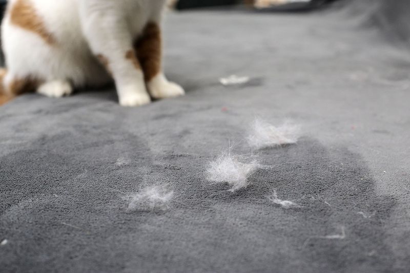 They’re Avoiding Dirty Floors