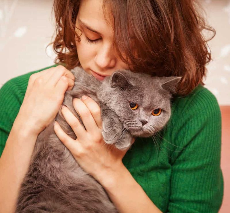 Emotional Guilt or Sadness