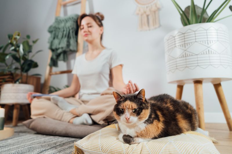 Your Lease & Pet Policy