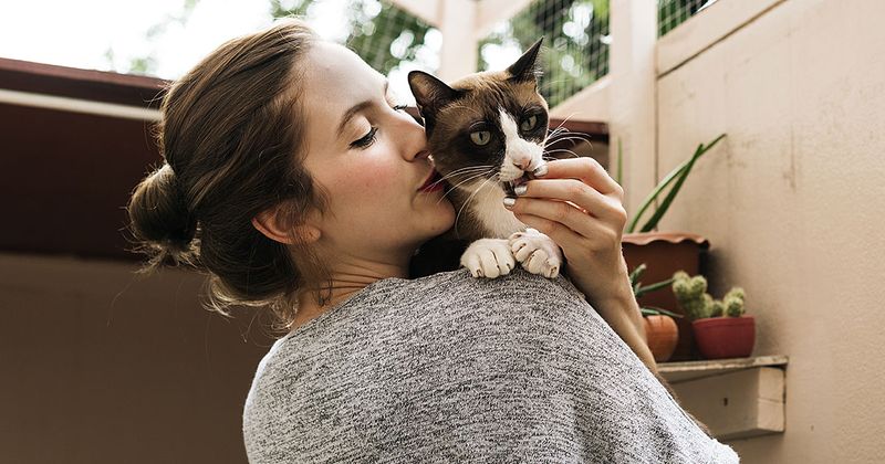 Grooming Is a Bonding Opportunity