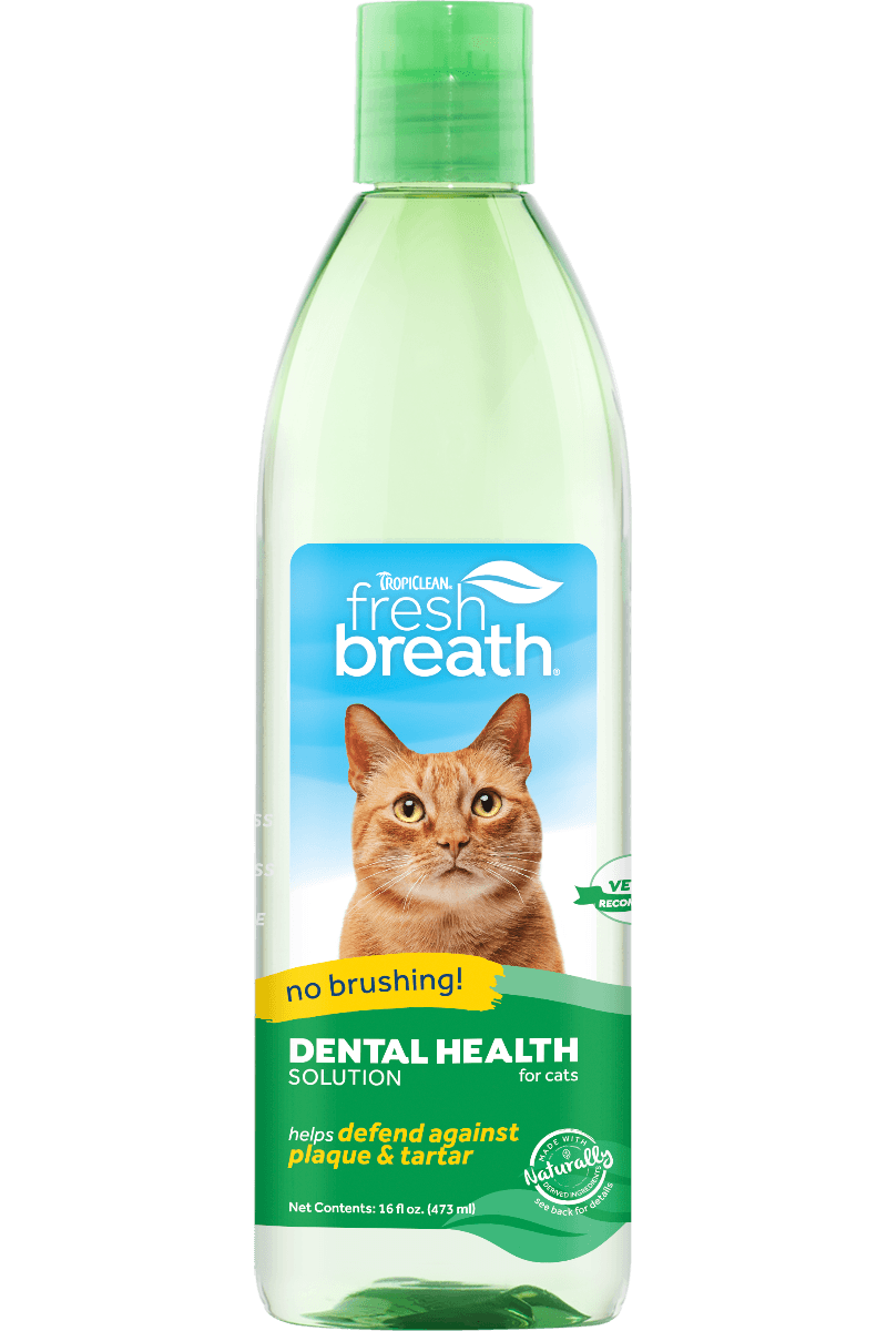 Freshens Breath