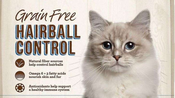 Top Hairball Control Cat Foods: Our 10 Best Picks