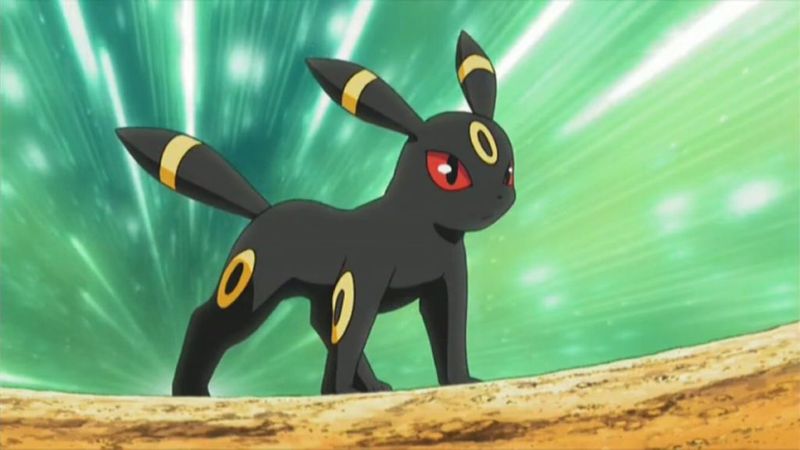 Bombay — Umbreon