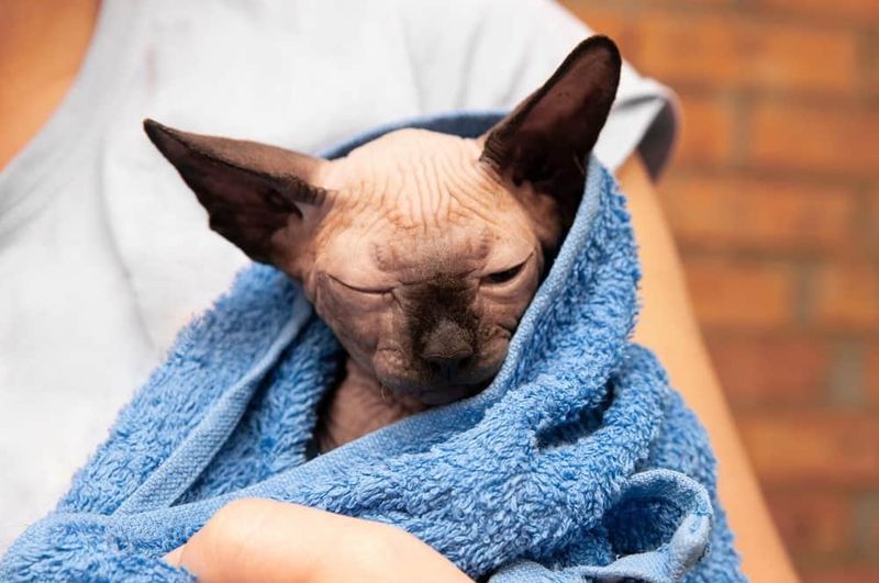 High Maintenance Skin Care