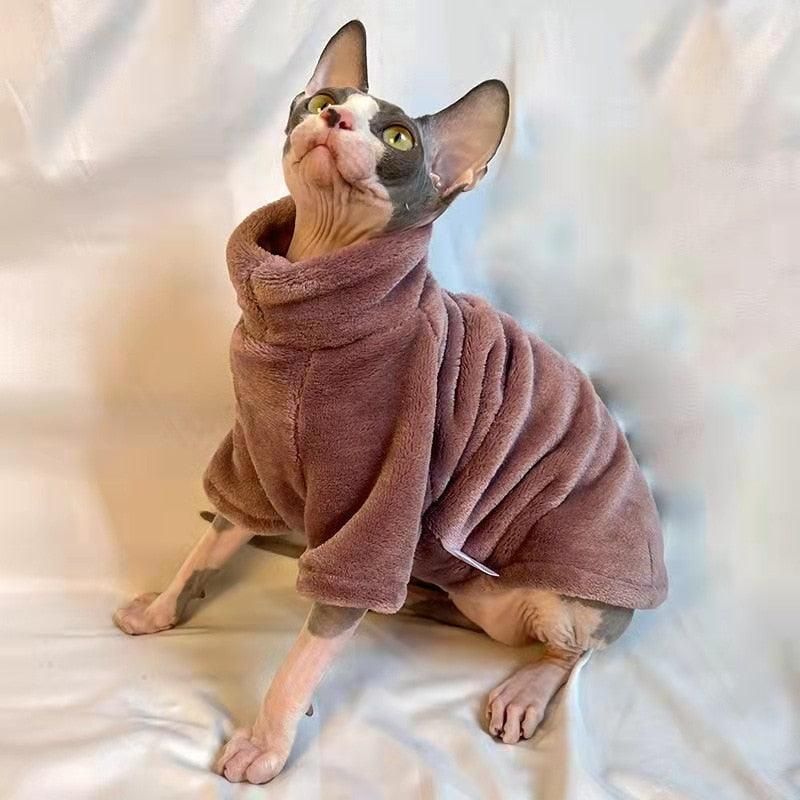 Love for Warmth