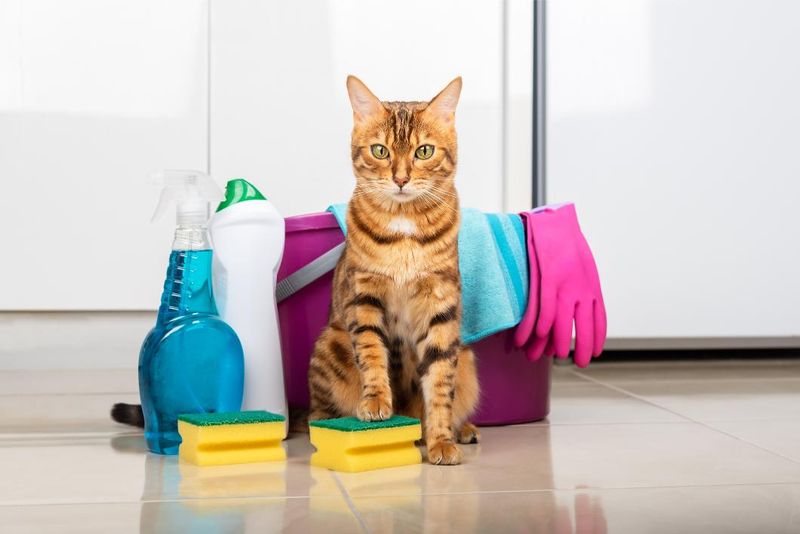 Store-Bought Pet-Safe Cleaners
