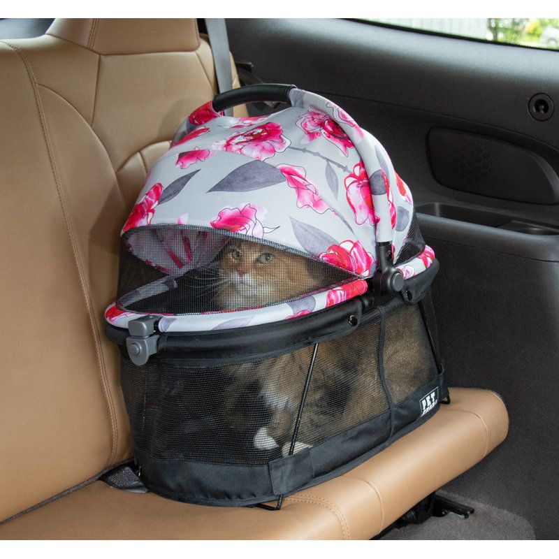 Transport With Comfort and Calm