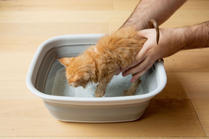 Use Lukewarm Water