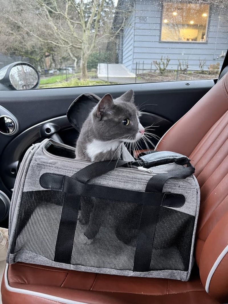 Make the Car a Happy Place