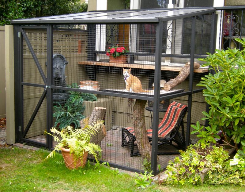 Create a Safe Starter Space