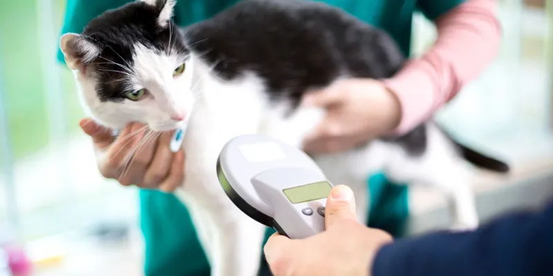 Update Identification and Microchip Info