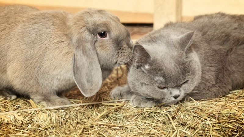 Never Leave Them Alone Together (At First)