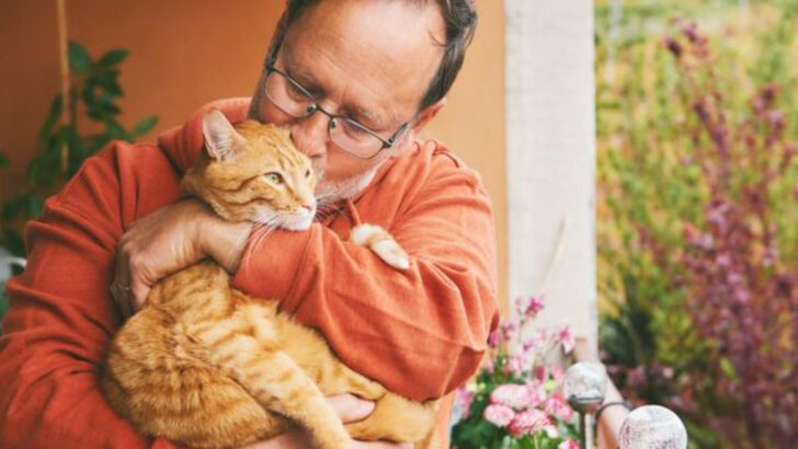 Why Are Cats a Baby Boomer’s Best Friend? — 8 Benefits You’ll Love
