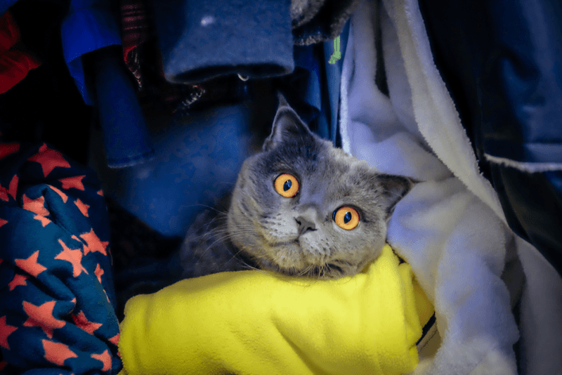 Inside a Sealed Vacuum Bag of Out-of-Season Clothes