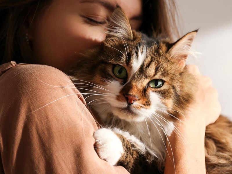 You’re the Go-To for Cat Advice
