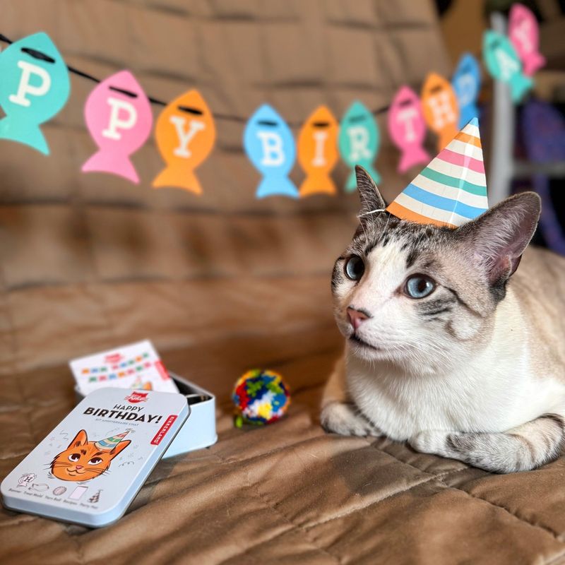 You Celebrate Your Cat’s Birthday… at Work