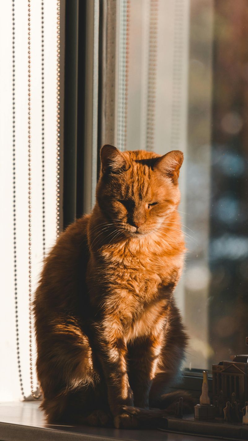 Sunlight Exposure