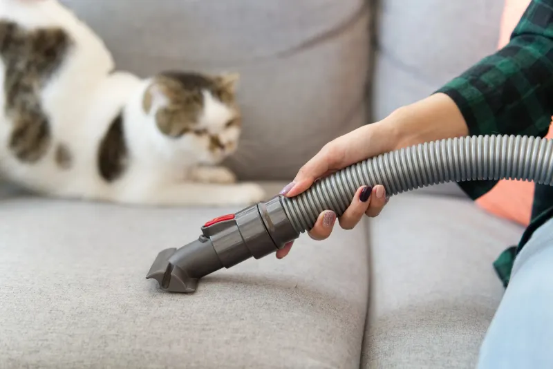Cleaning Commitment