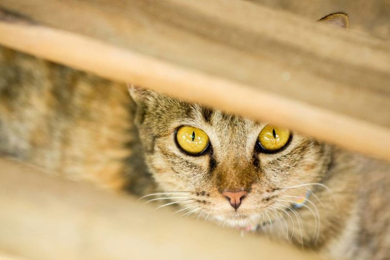 Your Secret Hiding Places