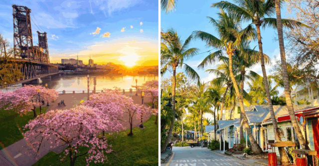 10 U.S. Cities Where Feral Cats Are Living Their Best Nine Lives