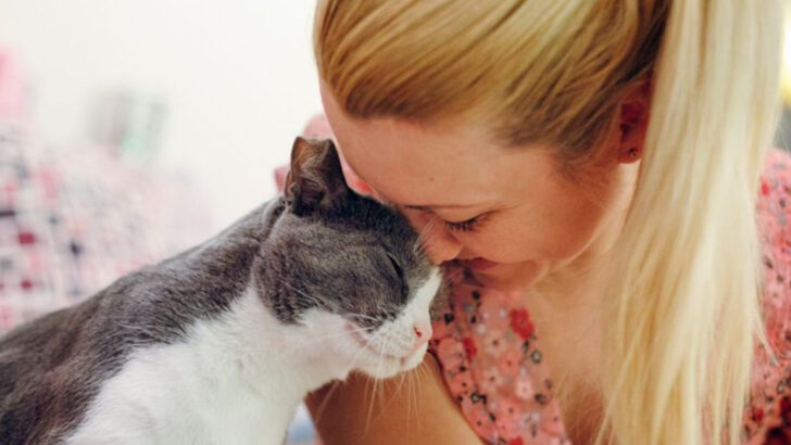 10 Ways Cats Show Affection Without Being Needy Like Dogs