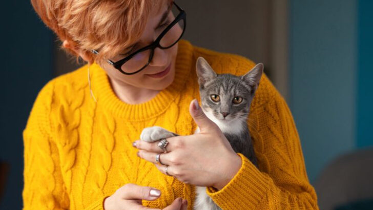 12 Clues Your Cat Is Emotionally Drained and Craving Peace