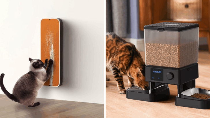12 Essentials Every Cat Needs When You’re Away for the Day