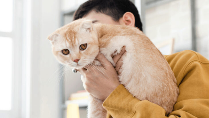 12 Subtle (and Savage) Ways Your Cat Might Be Saying ‘I Merely Tolerate You’