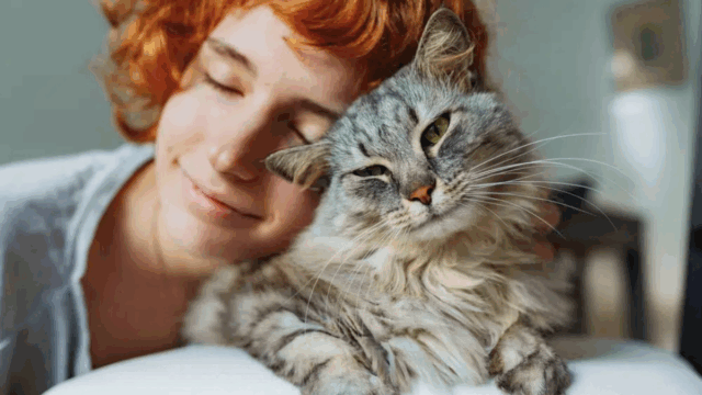 17 Sweet Ways to Show Your Cat Love—In a Language They Truly Understand