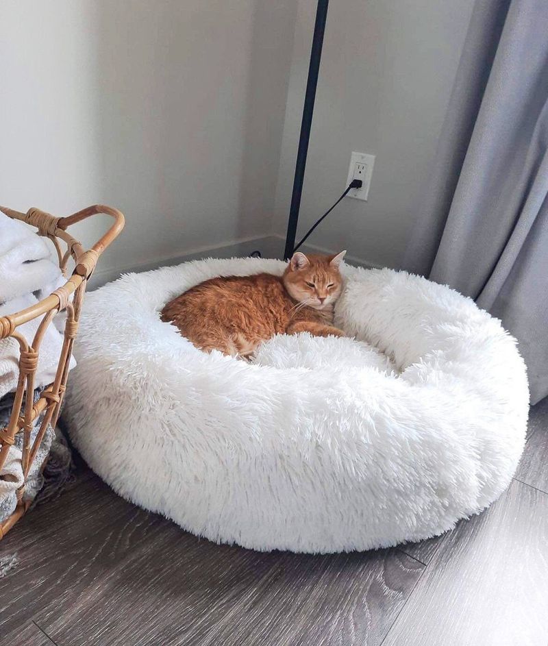  2. Provide a Cozy Alternative Sleeping Spot
