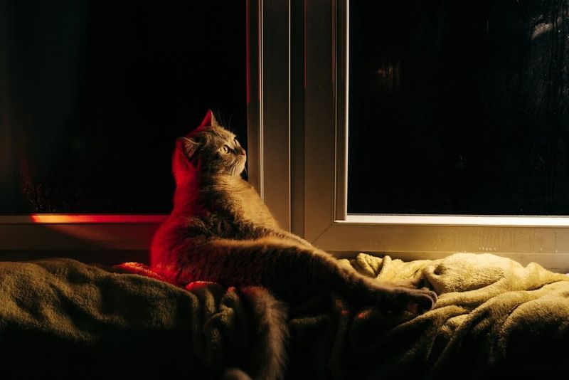 3 AM Wake-Up Calls