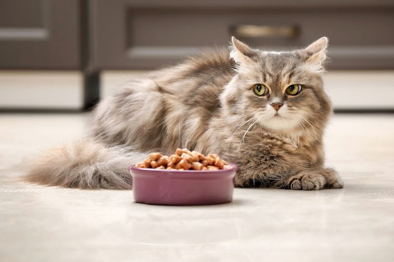 3. Changes in Appetite