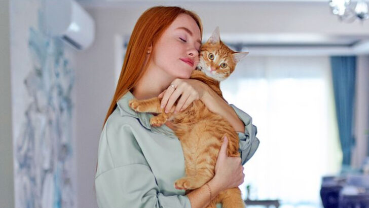 5 Ways Owning a Cat Can Boost Your Mental Health & 5 Ways It Can Test Your Patience